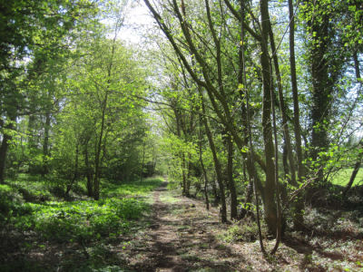 Hincaster Traiway - A safe place to walk, cycle, horse ride in Cumbria