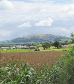 Hincaster Traiway - A safe place to walk, cycle, horse ride in Cumbria